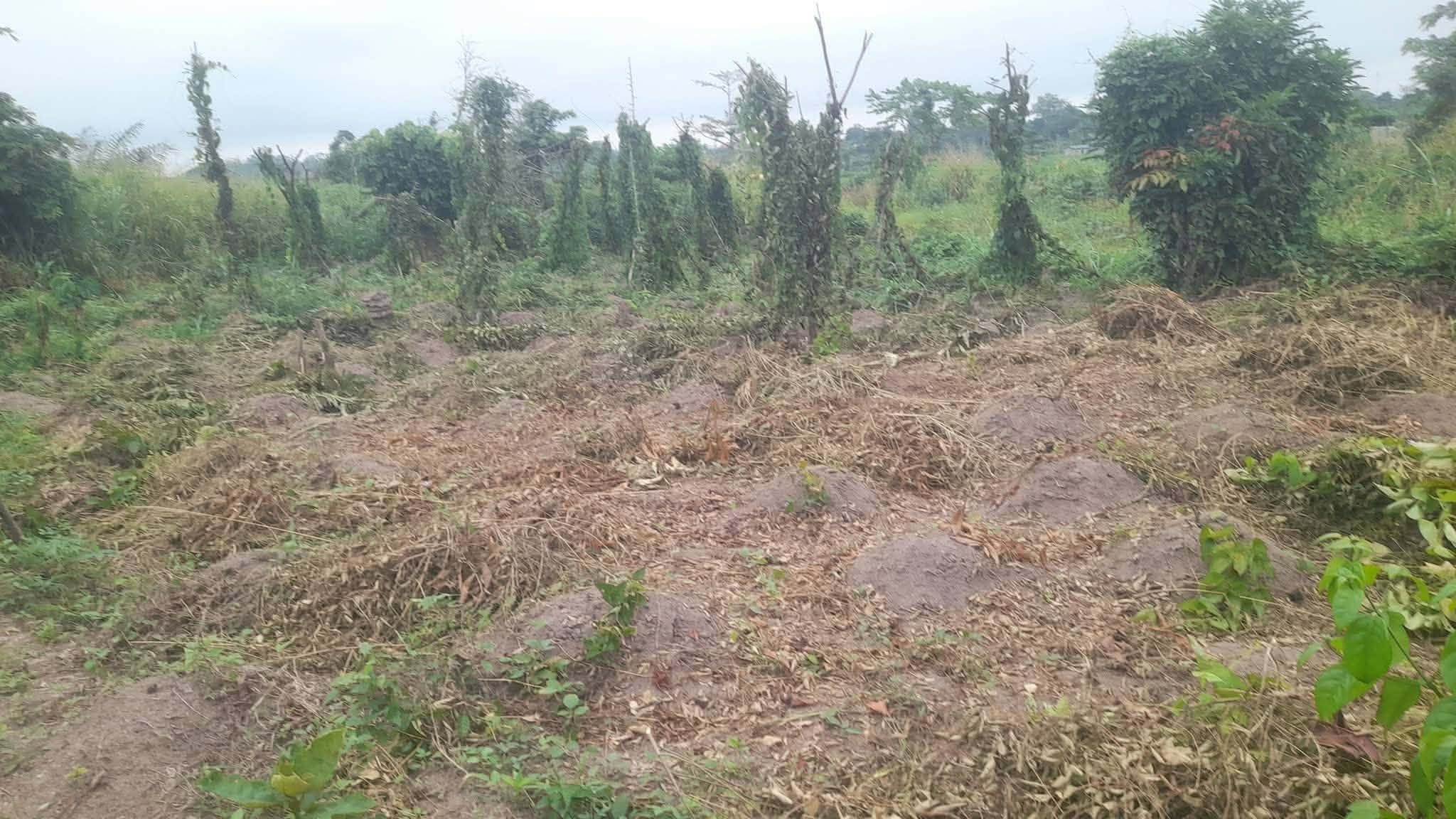 Photo SANGARE IMMOBILIER A DALOA