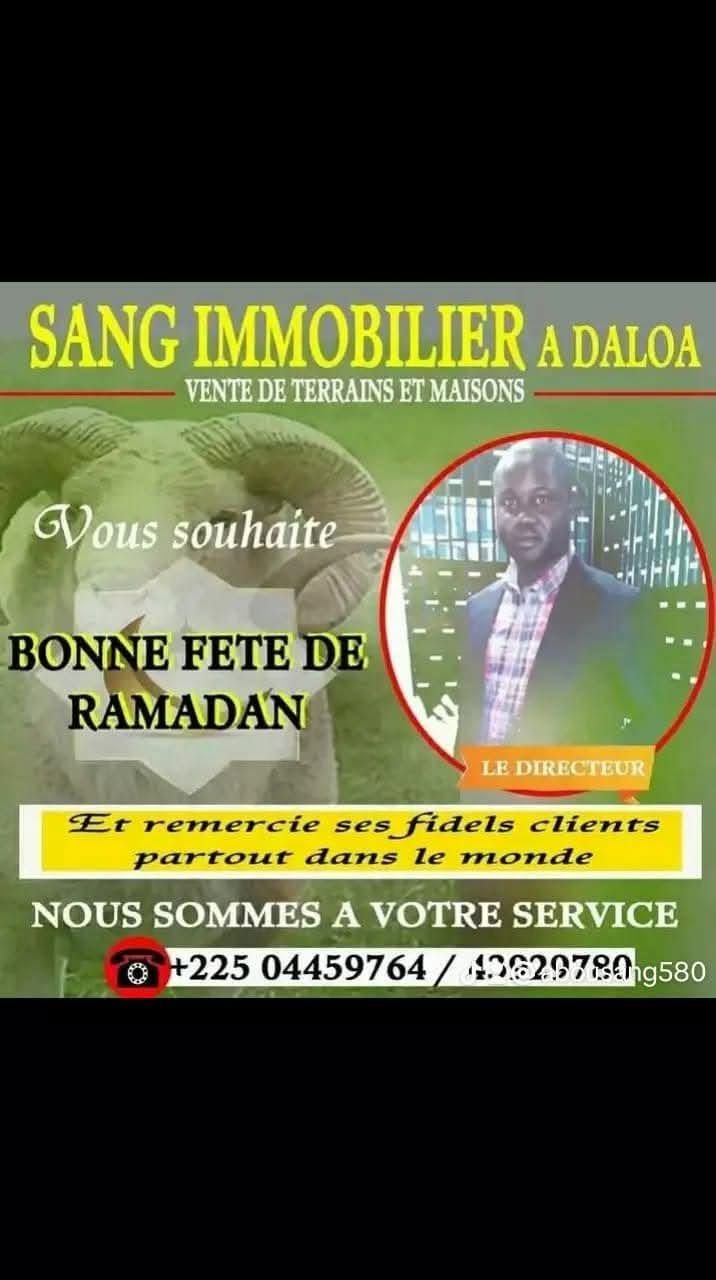 Photo SANGARE IMMOBILIER A DALOA