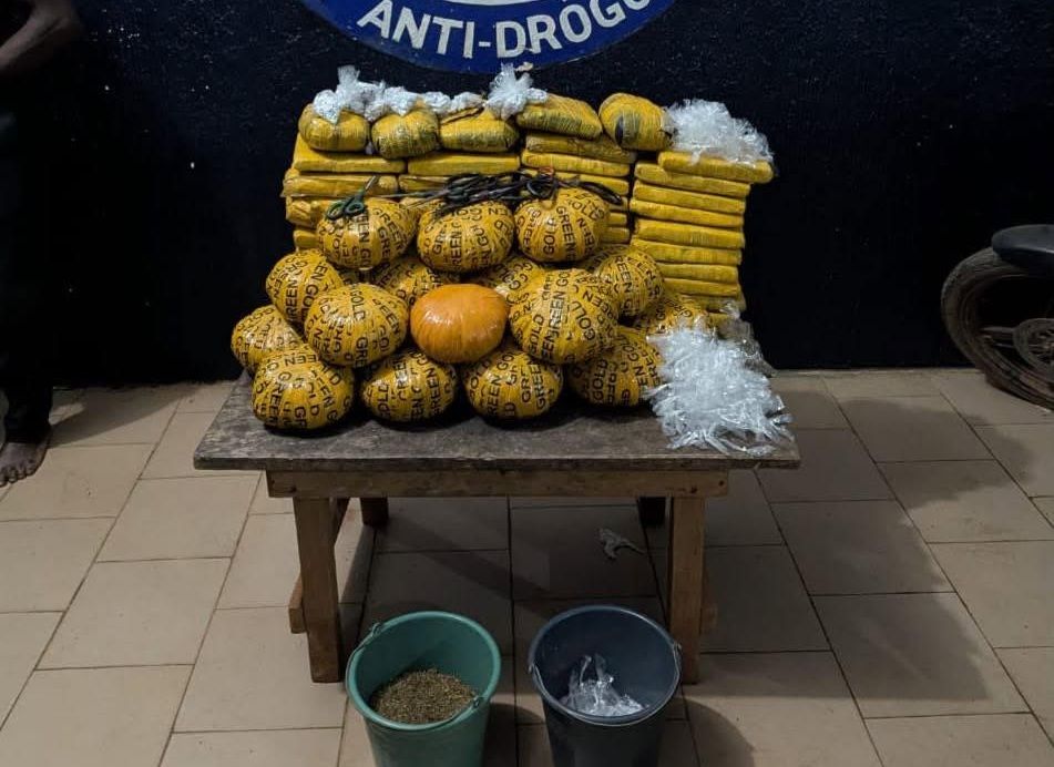 La-cellule-anti-drogue-de-Daloa-saisit-de-la-drogue.jpg