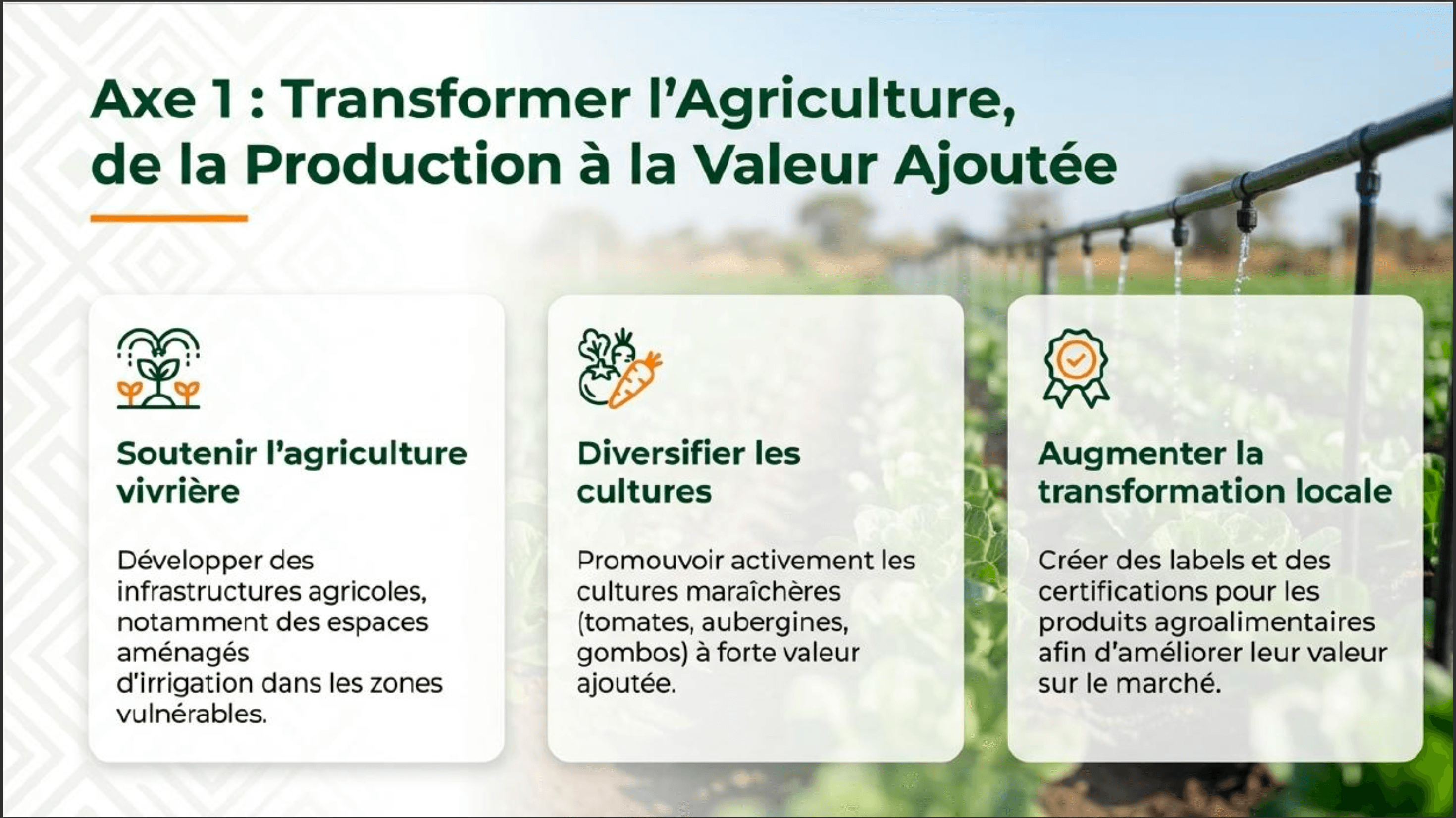 Transformer-l-agriculture-de-la-production-à-la-valeur-ajoutée-daloa360.png