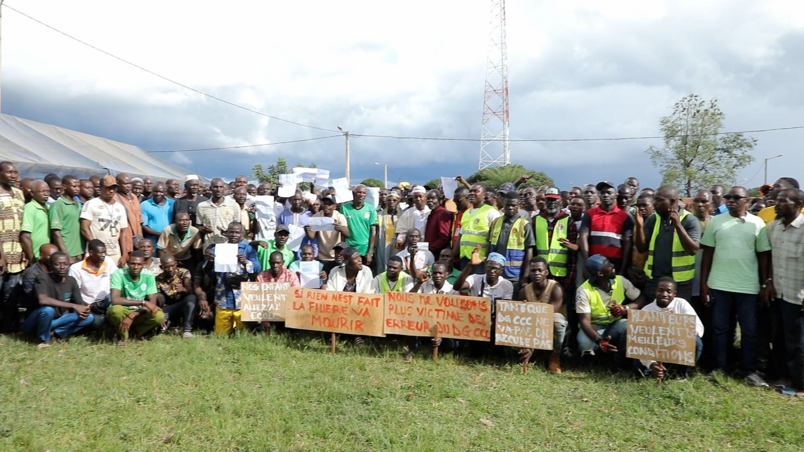 daloa360-crise-cacao-planteurs-guezon-duekoue-septembre-2026.jpeg