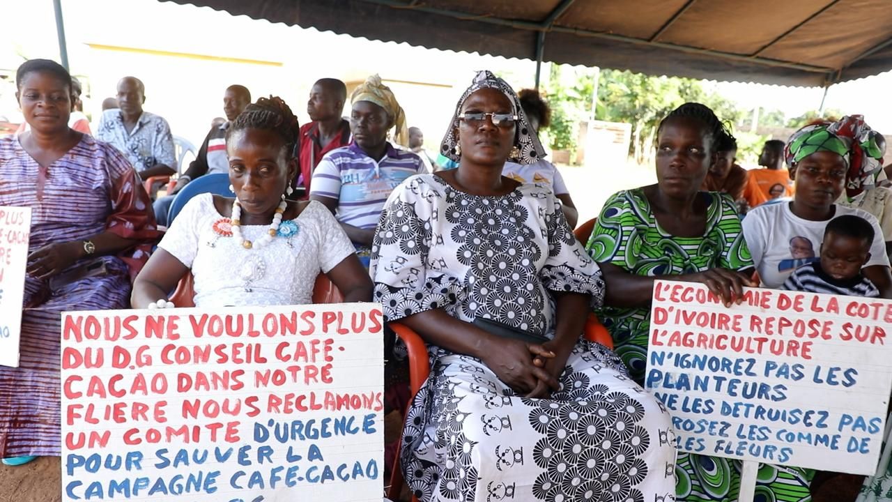 daloa360-mobilisation-producteurs-marahoue-sassandra-septembre-2026.jpeg