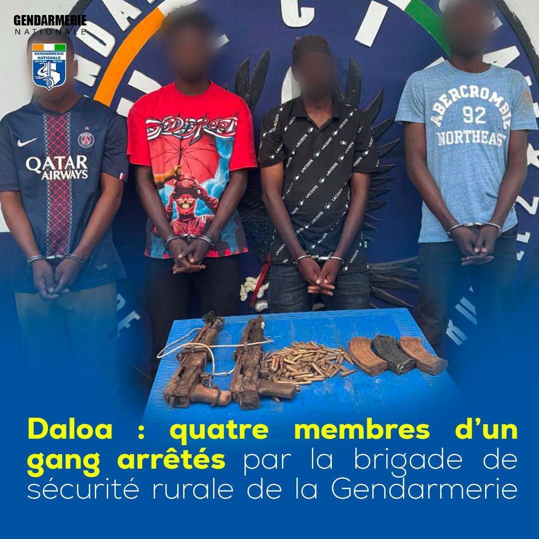 Quatre membres d'un gang arrêtés par la brigade de sécurité rurale de la Gendarmerie nationale à Daloa.